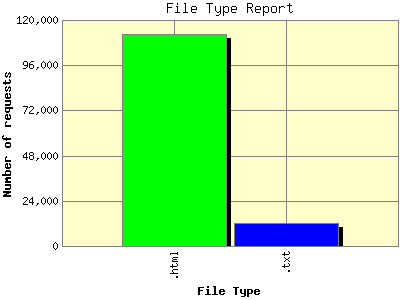 File Type Report: Number of requests by File Type.